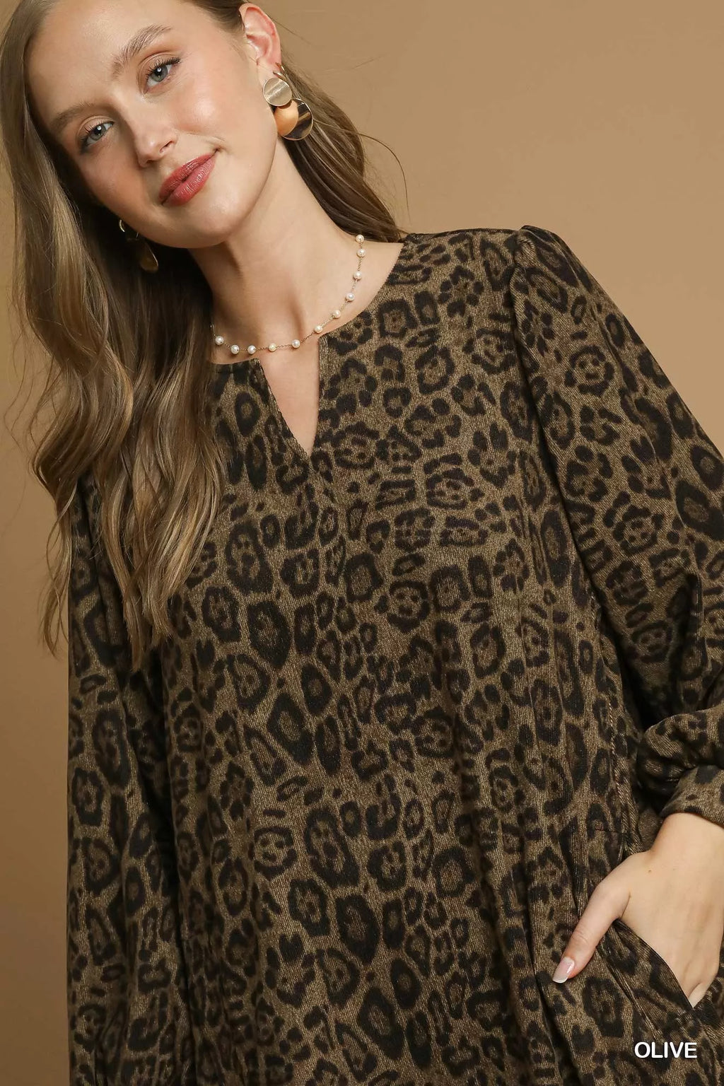 Leopard Print Long Sleeve Swing Dress