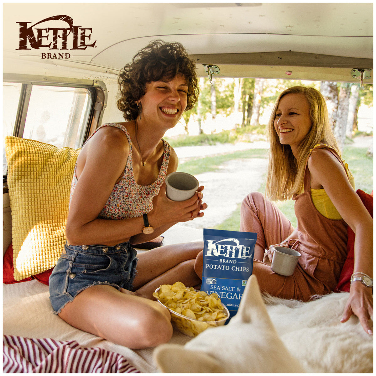 Kettle Chips Salt & Vinegar Potato Chips (15x5 Oz)