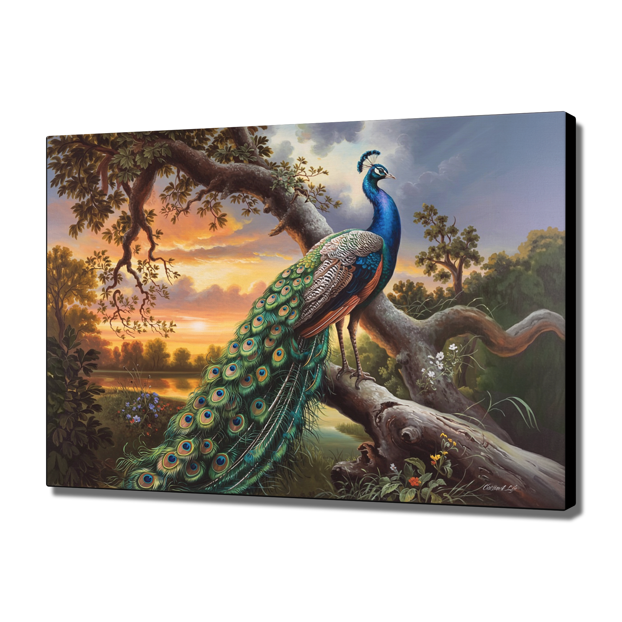 Beautiful Peacock canvas art print - a classic and elegant statement, Peacock art