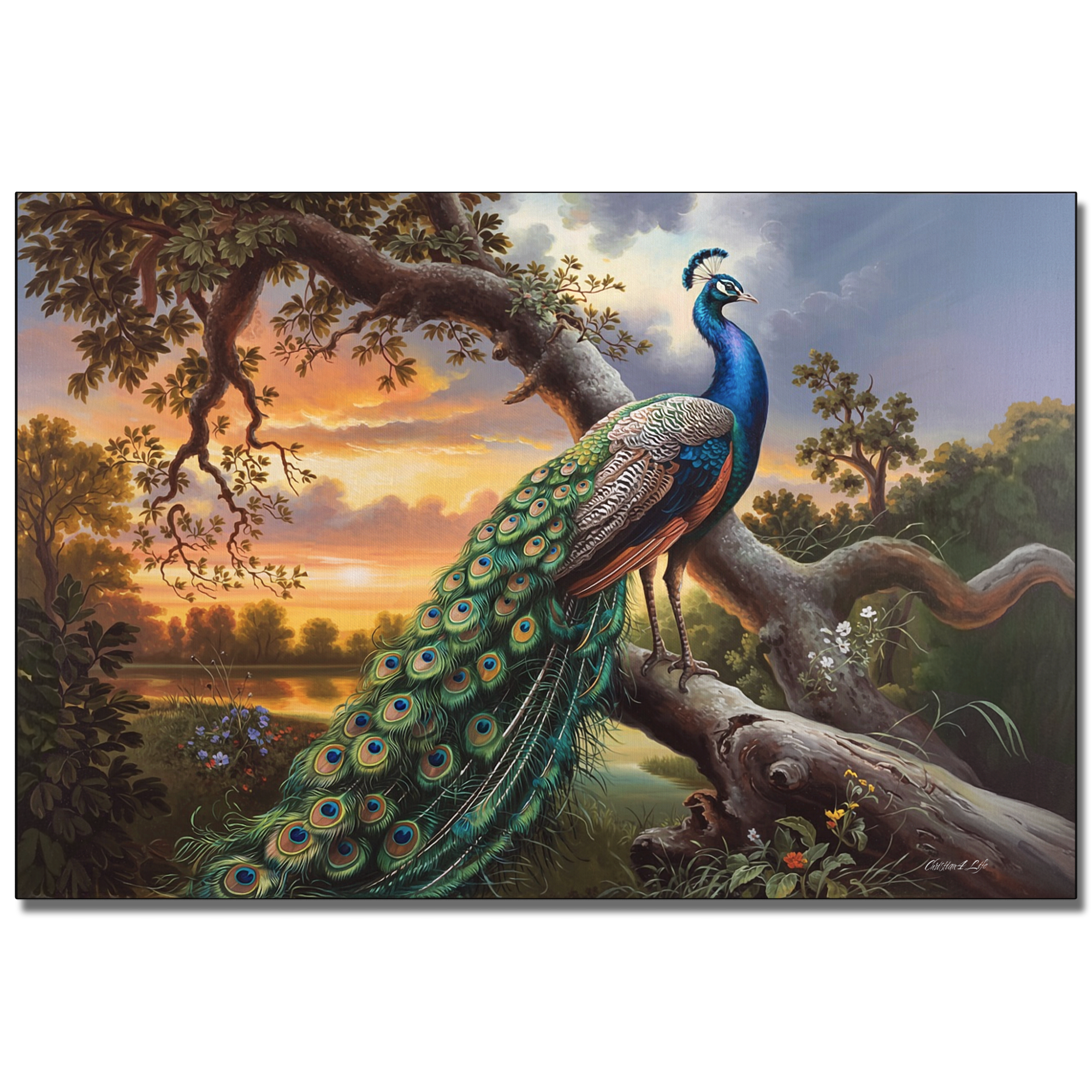 Beautiful Peacock canvas art print - a classic and elegant statement, Peacock art