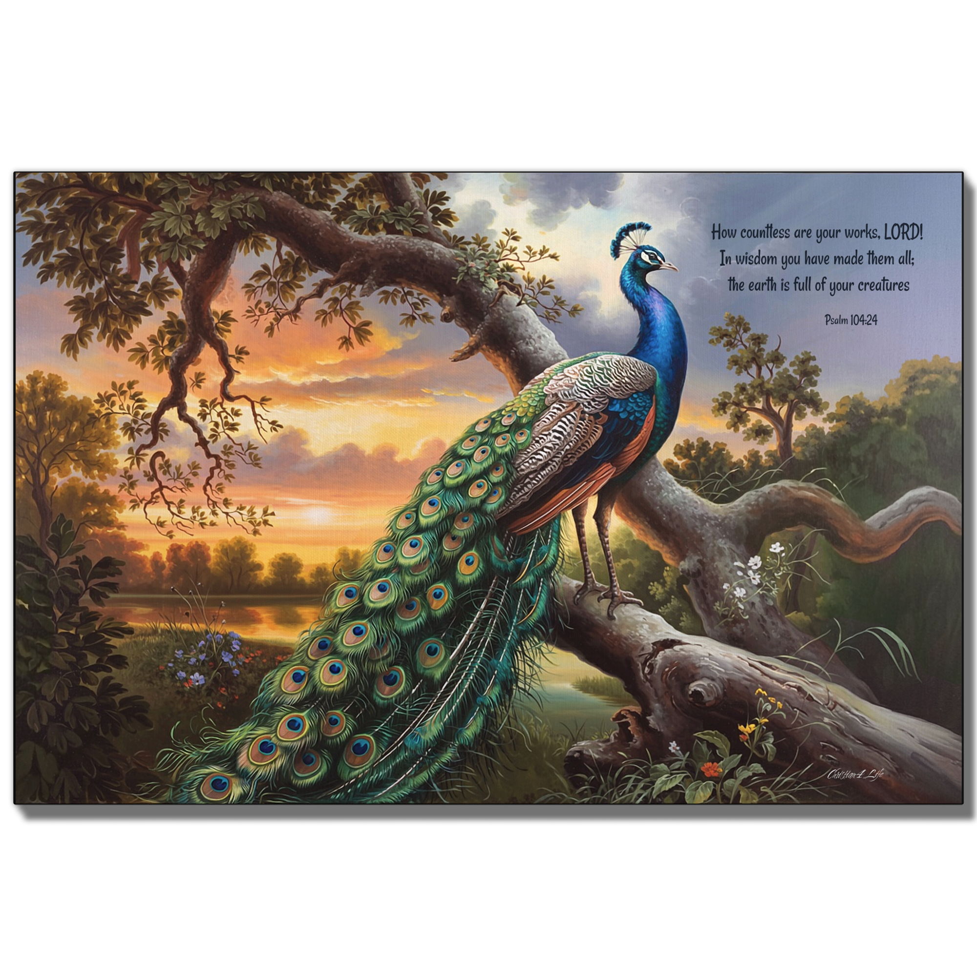 Beautiful Peacock canvas art print - with Psalm 104:24 quote - classic and elegant Peacock art