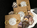 Coco Eve Studs