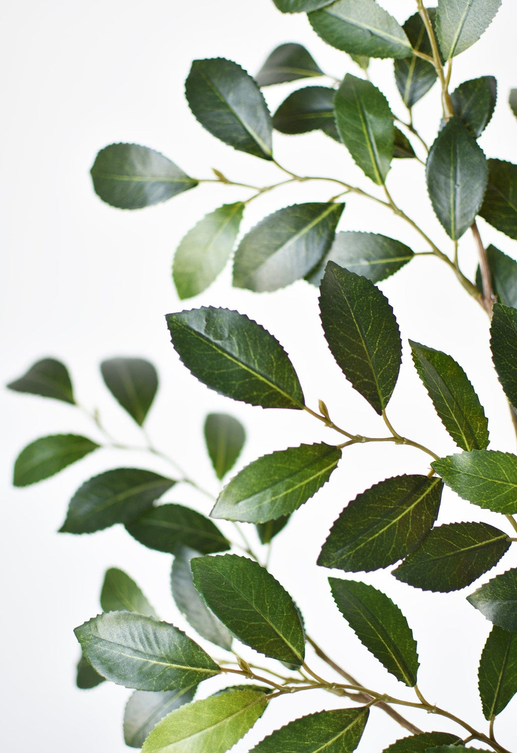 26" Faux Ruscus Leaf Stem