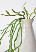 23" Faux Hanging Pencil Cactus Succulent Bush