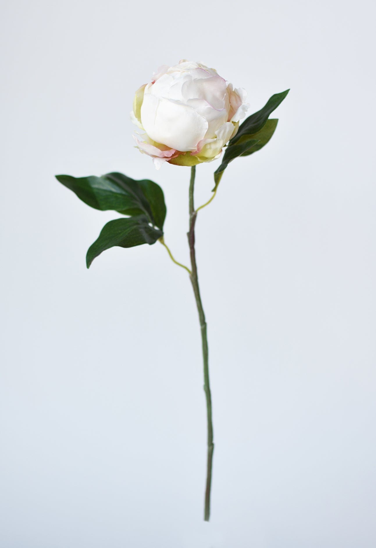 18" Faux Peony Bud Stem White