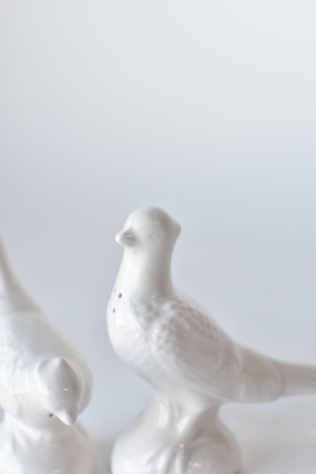 Ceramic Pheasant Salt and Pepper Shakers