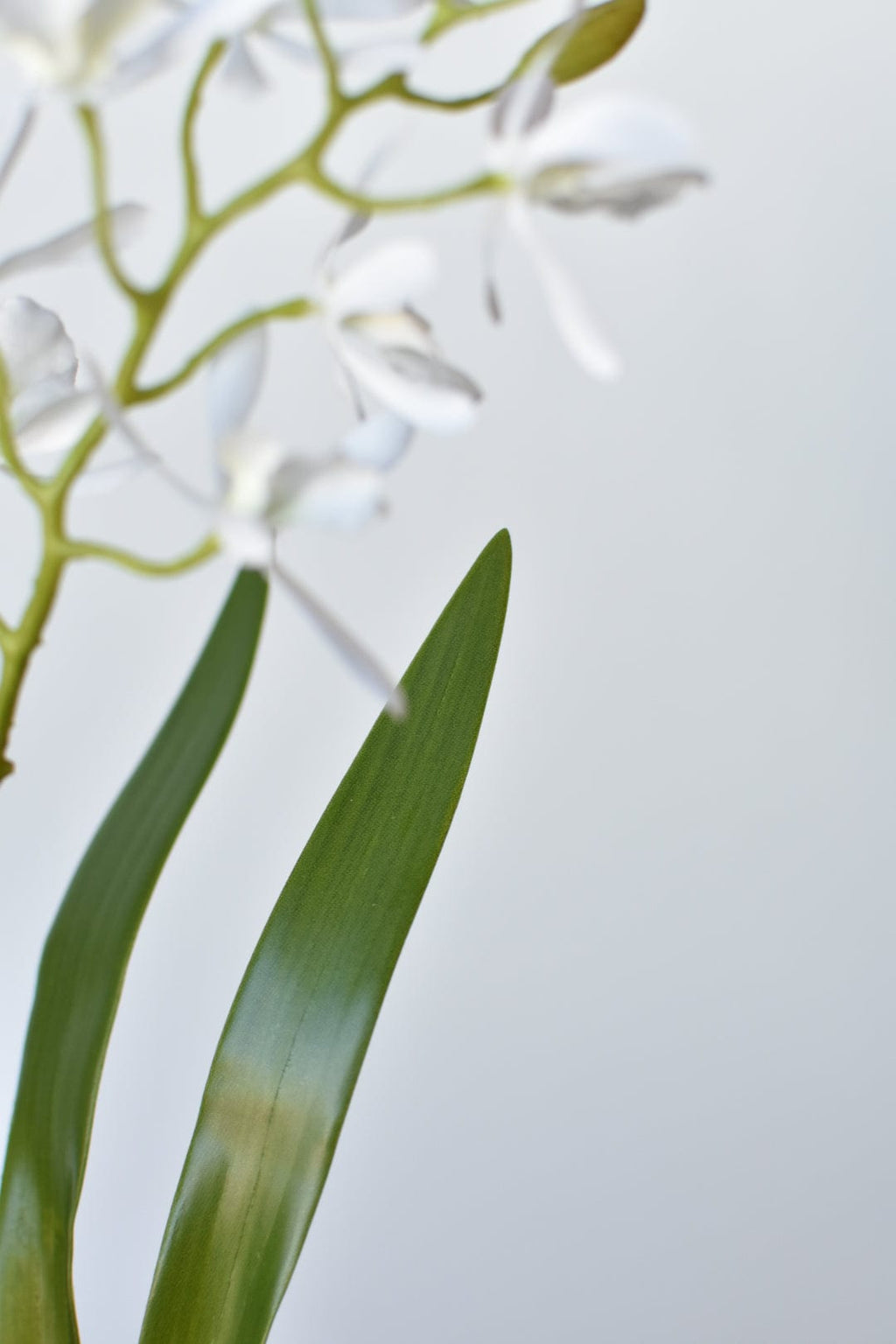16" Faux Mini Orchid Stem with Leaves and Roots
