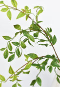 32" Faux Nandina Leaf Stem