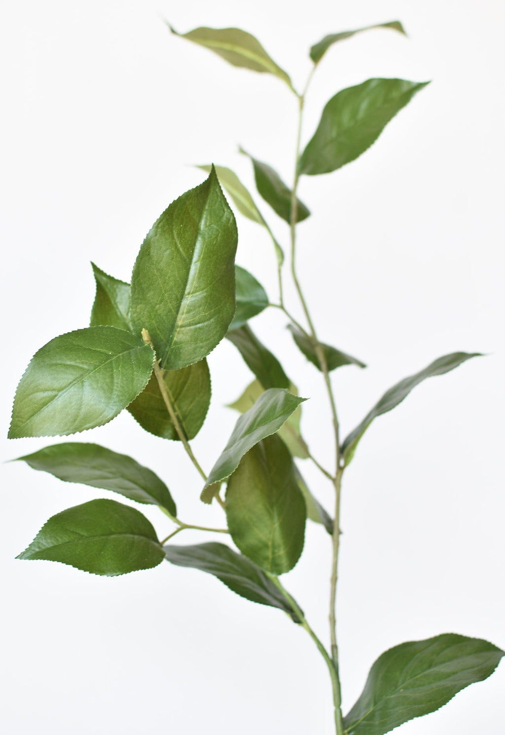 36" Faux Lemon Leaf Branch Stem