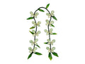 Ti Leaf Money Leis (Blessings & Prosperity)