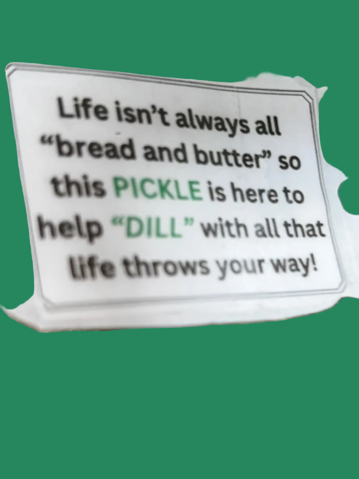 Hand Crafted Crocheted Positive Pickle