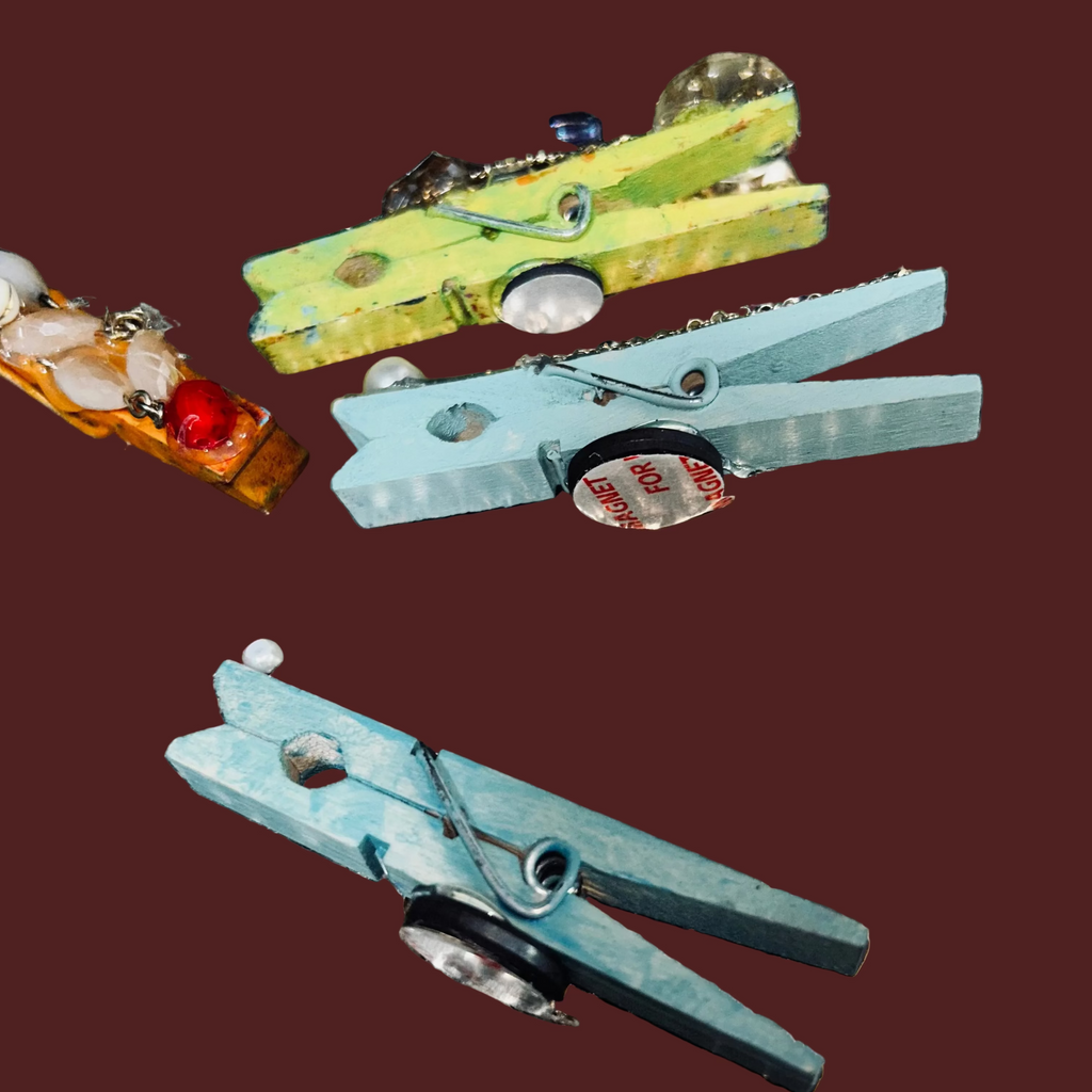 5 magnetized colorful clothes pins