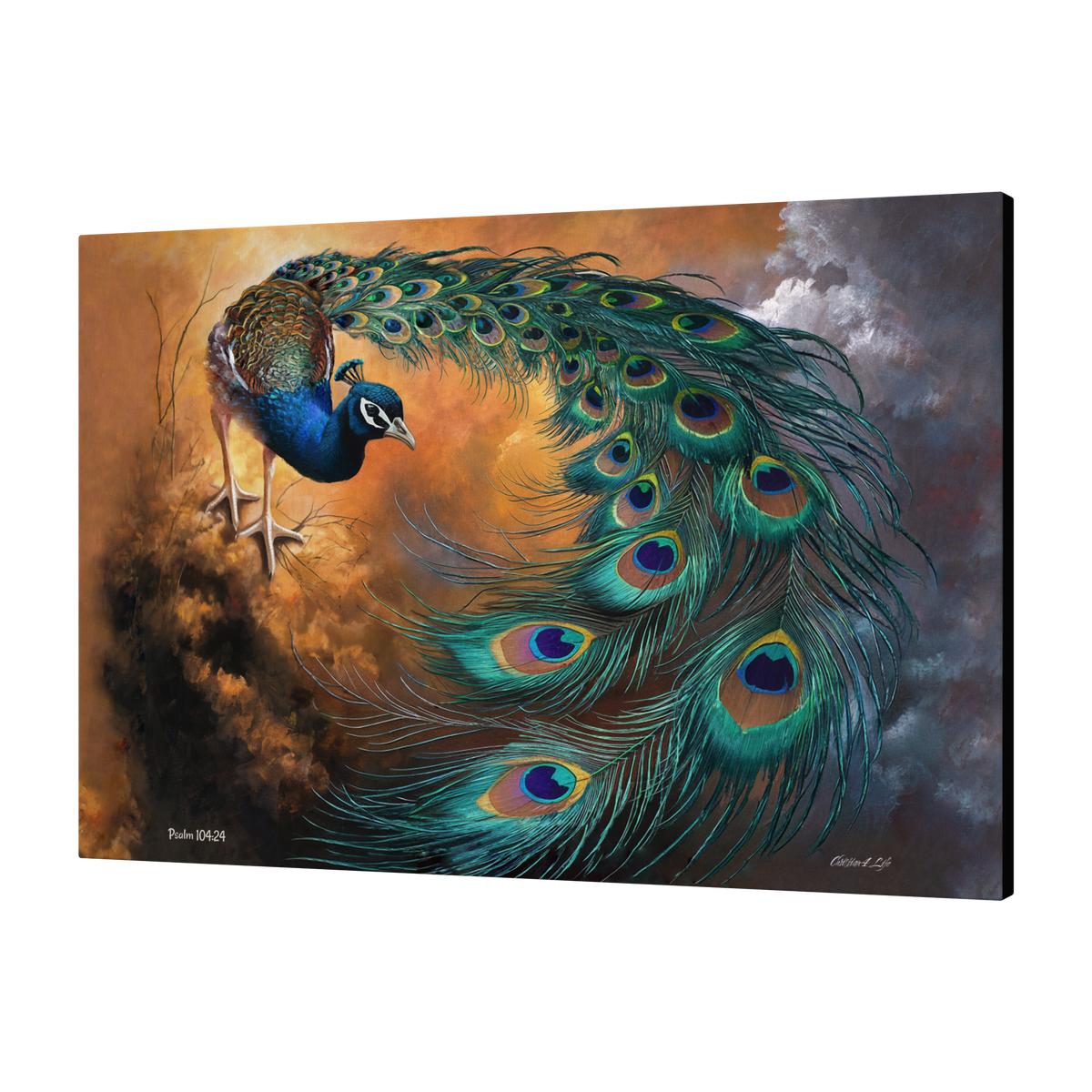Peacock canvas art print - a vibrant and elegant statement Peacock art piece
