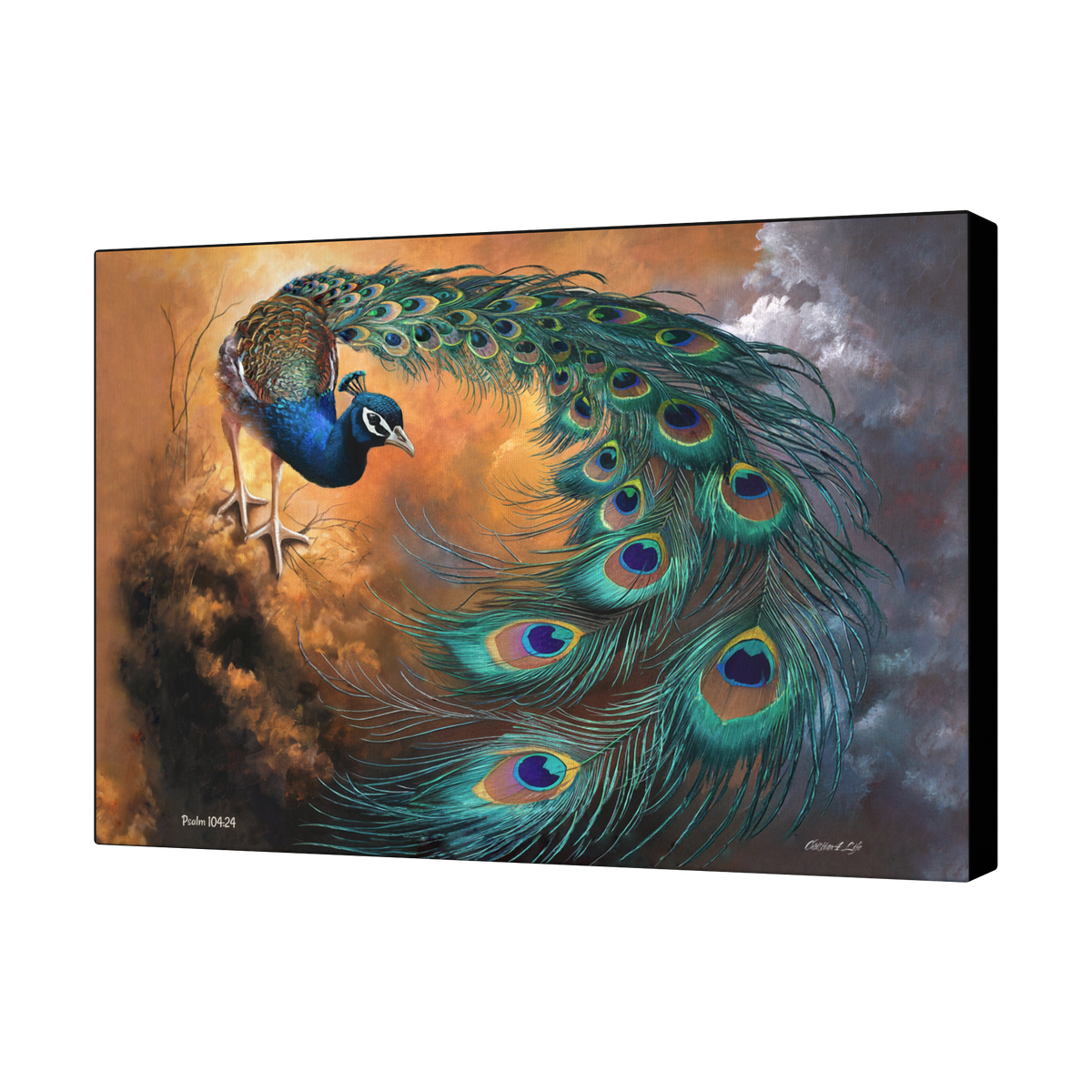 Peacock canvas art print - a vibrant and elegant statement Peacock art piece