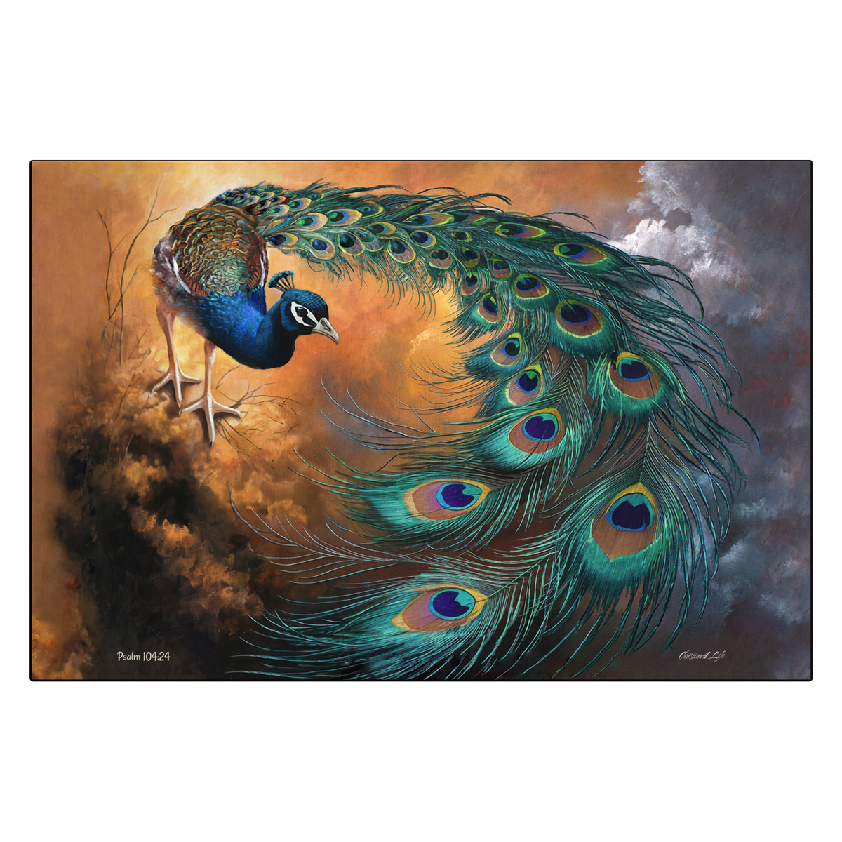Peacock canvas art print - a vibrant and elegant statement Peacock art piece