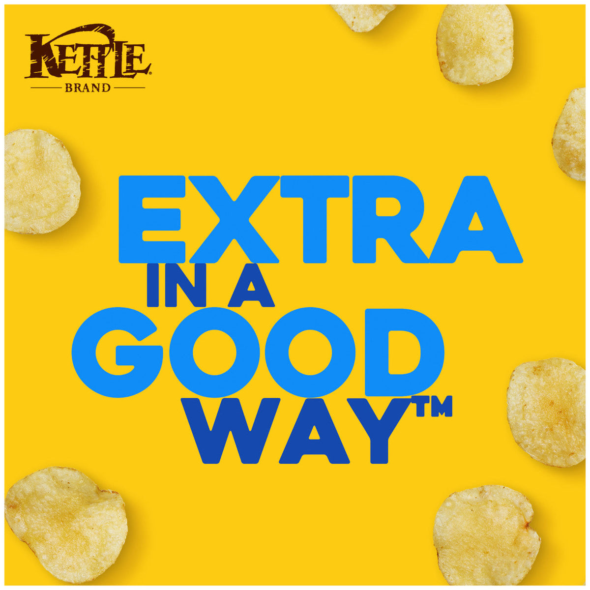 Kettle Chips Salt & Vinegar Potato Chips (15x5 Oz)