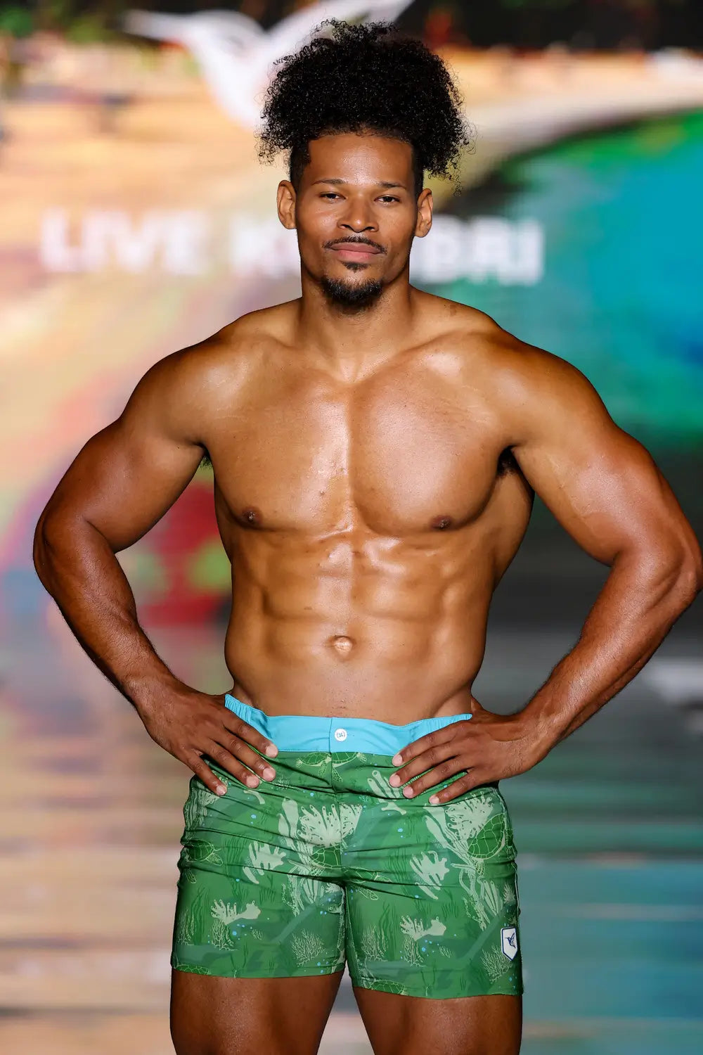 La Tortuga Turtle Print Swim Shorts