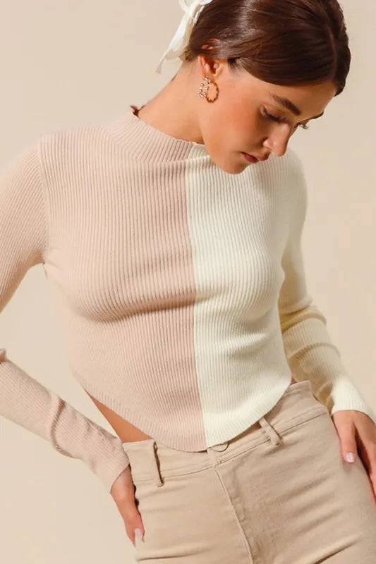 Color Block Fitted Crop Sweater Top