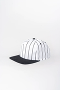 Printed Flat Bill Hat