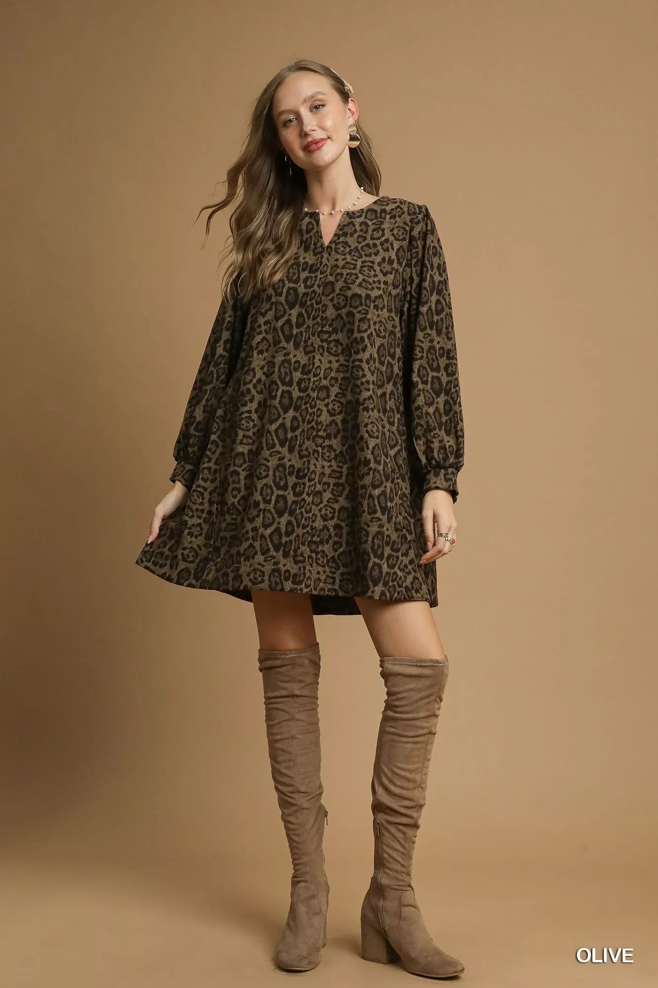 Leopard Print Long Sleeve Swing Dress