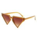 Women’s Sunglasses Brown Triangle Pointed Stylish Chic Accessories