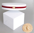 Velvet Choker Necklace with Gold Lion Pendant – Stylish Statement Jewelry
