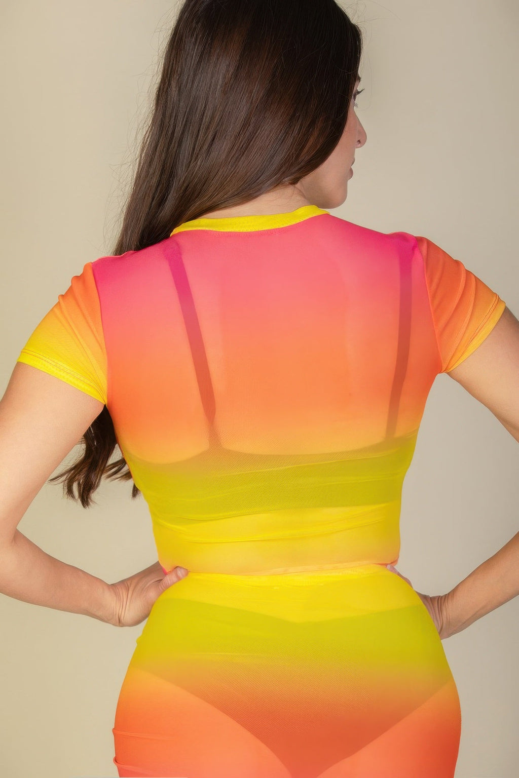 Mesh Sheer Crop Top