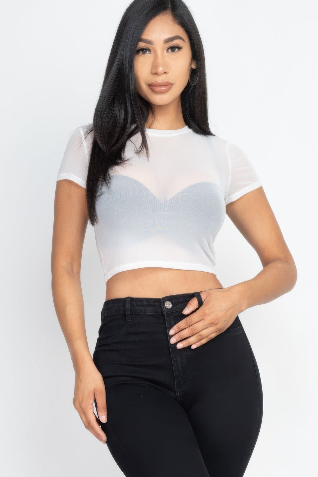 Mesh Sheer Crop Top