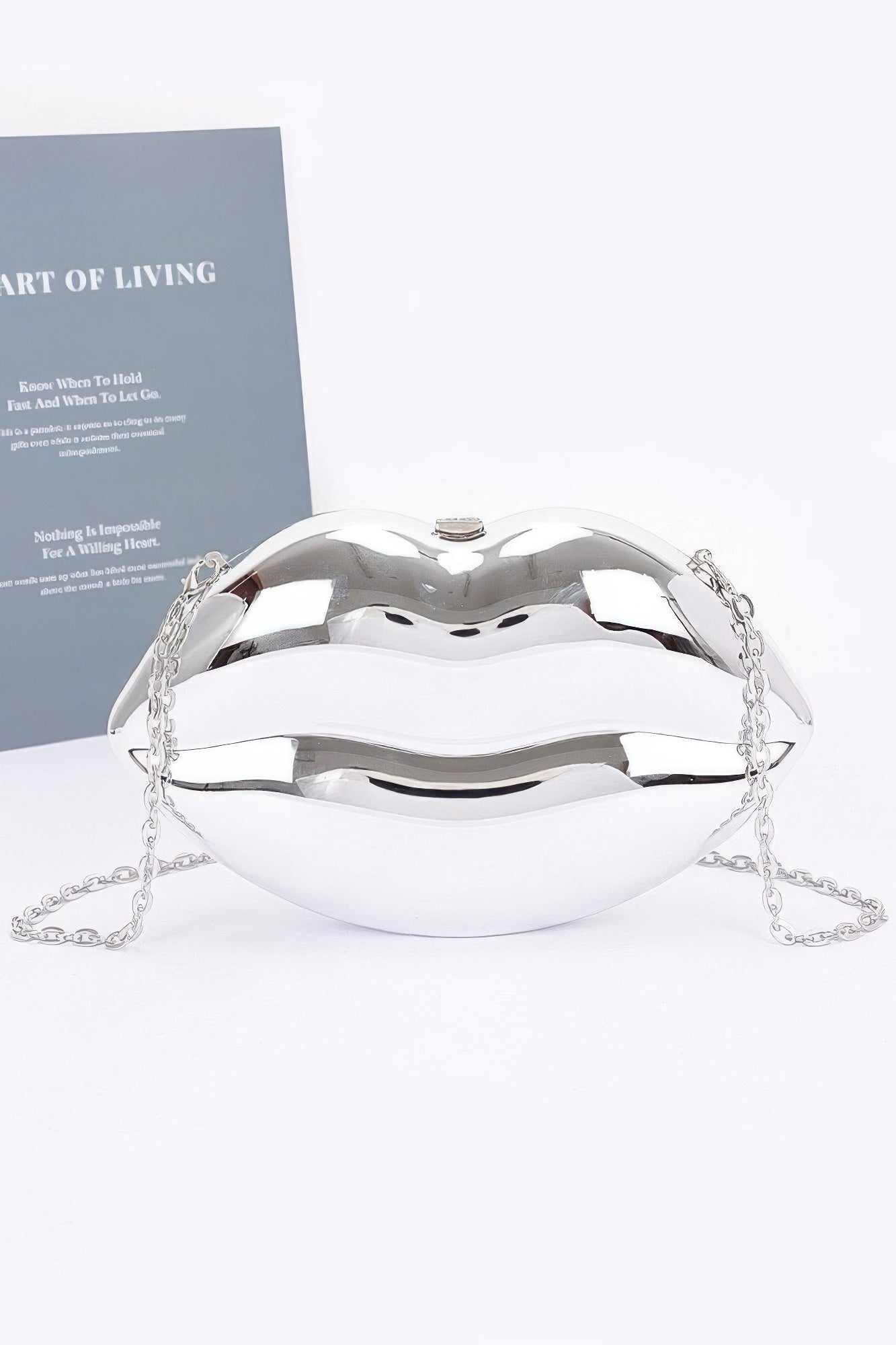 Acrylic Case Bag